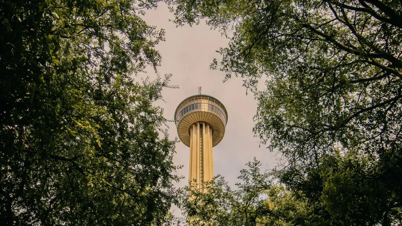 Tower of the Americas framed by trees in San Antonio