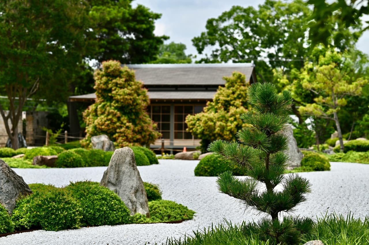 Green Trees near Brown Wooden House