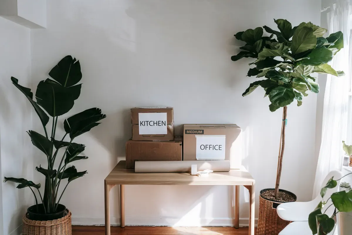 Moving boxes labeled by room
